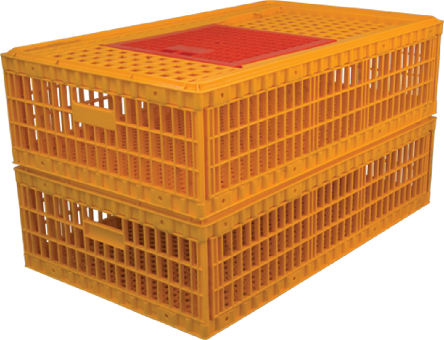 Ящик 311 м для перевозки живой птицы 970х570х270 мм перфорированный желтый с крышкой морозостойкий